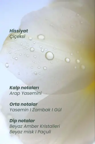 Matsu MYTH Hair Perfume 10 ml - 2