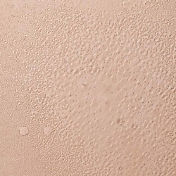 Mustela Organik Papatya Suyu ile Canlandırıcı ve Şekillendirici Sprey 200 ml - 3