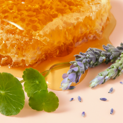 Nuxe Reve De Miel Cica Rich Hand Cream 50 ml - 5