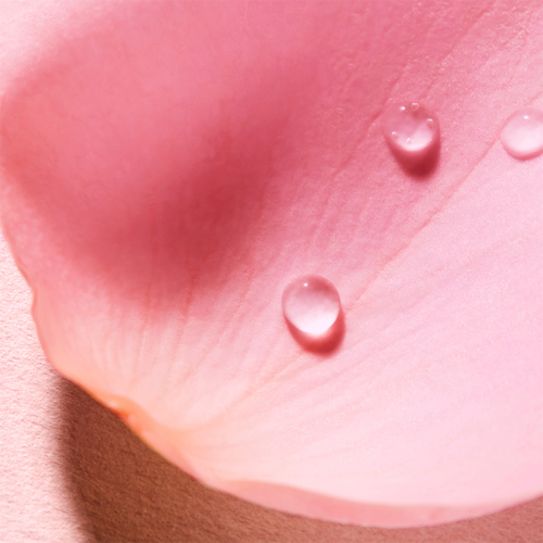 Nuxe Very Rose Parfume Sprey 100 ml - 2