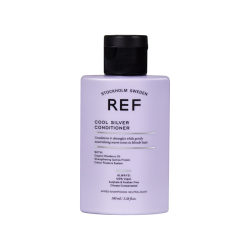 Ref Cool Silver Conditioner 100 ml - 2