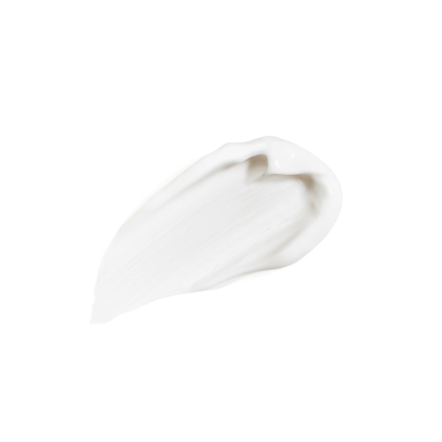 Sisley All Day All Year Yaşlanma Karşıtı Nemlendirici 50 ml - 2