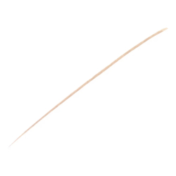 Sisley Phyto Sourcils Perfect N1 Blond Kaş Kalemi - 2