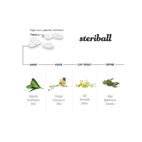 Steriball Pilli veya Şarjlı Diş Fırçaları İçin Hijyenik Diş Fırçası Kabı - Yeşil ve Mavi - 2
