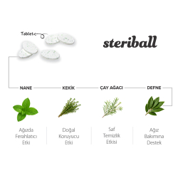 Steriball Pilli veya Şarjlı Diş Fırçaları İçin Hijyenik Diş Fırçası Kabı - Yeşil ve Mavi - 5