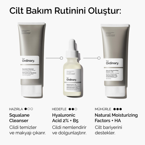 The Ordinary Hyaluronic Acid %2 + B5 60 ml - 5