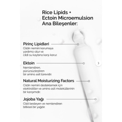 The Ordinary Rice Lipids + Ectoin Microemulsion 120 ml - 4