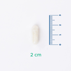 Velavit V-GlutenEase Takviye Edici Gıda 60 Kapsül - 4