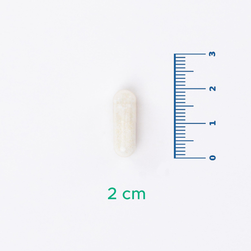 Velavit V-GlutenEase Takviye Edici Gıda 60 Kapsül - 4