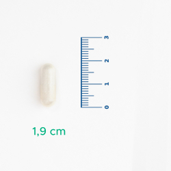 Velavit V-Nattokinase Takviye Edici Gıda 30 Kapsül - 3