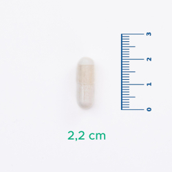 Velavit V-NR Takviye Edici Gıda 30 Kapsül - 6