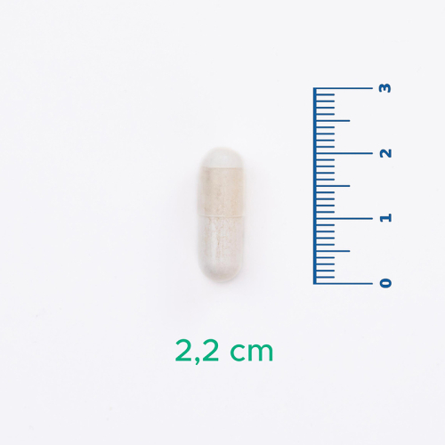 Velavit V-NR Takviye Edici Gıda 30 Kapsül - 6