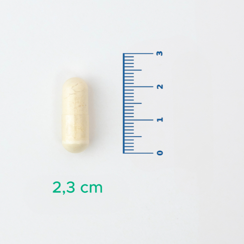 Velavit V-Probiotics Enzymes Takviye Edici Gıda 30 Kapsül - 3