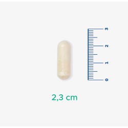 Velavit V-PsCog Takviye Edici Gıda 30 Kapsül - 3