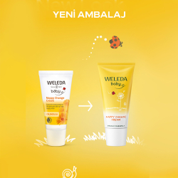 Weleda Calendula (Aynısefa Özlü) Bez Bölgesi Bakım Kremi 75 ml - 1