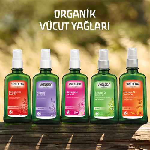 Weleda Yabani Gül Vücut Yağı 100 ml - 4