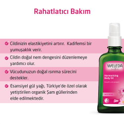 Weleda Yabani Gül Vücut Yağı 100 ml - 6