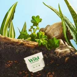 Wild Refill Yedek Stick Deodorant İçi Doğal Formül - Honey - Cactus Flower 40 g - 6