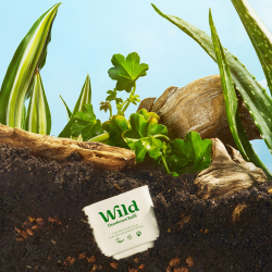 Wild Refill Yedek Stick Deodorant İçi Doğal Formül - Pink Grapefruit - Lime 40 g - 6