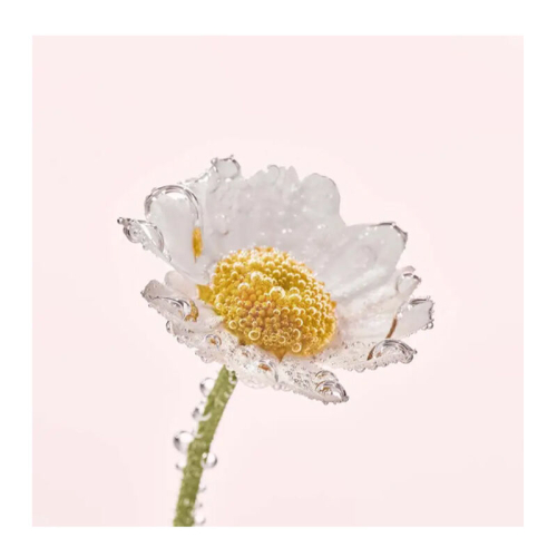 Yves Rocher Pure Camomile Yüz Temizleme Sütü 200 ml - 4